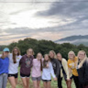 Meet your Posher, Bailey